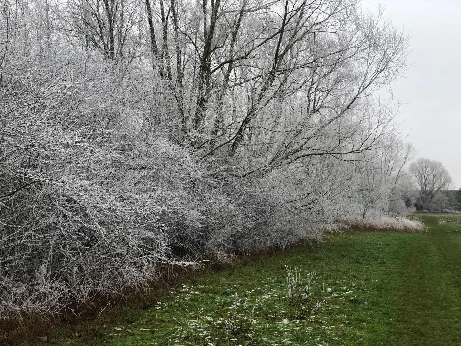 LE PRÉFET DÉCLENCHE LE NIVEAU JAUNE : ALERTE GRAND FROID