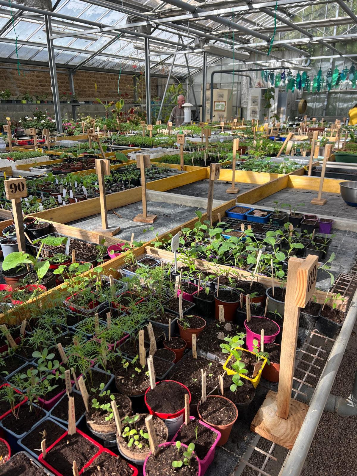 JARDINAGE ET PLUS ENCORE : LE SUCCÈS GRANDISSANT DE LA SERRE CITOYENNE