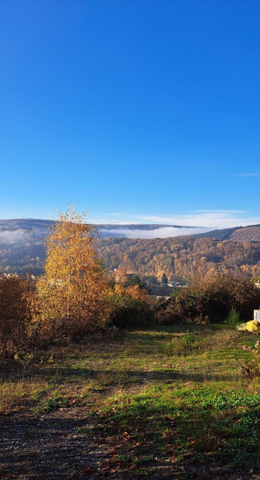 SIX HECTARES DE VÉGÉTATION PARTENT EN FUMÉE LE LONG DE LA RD989