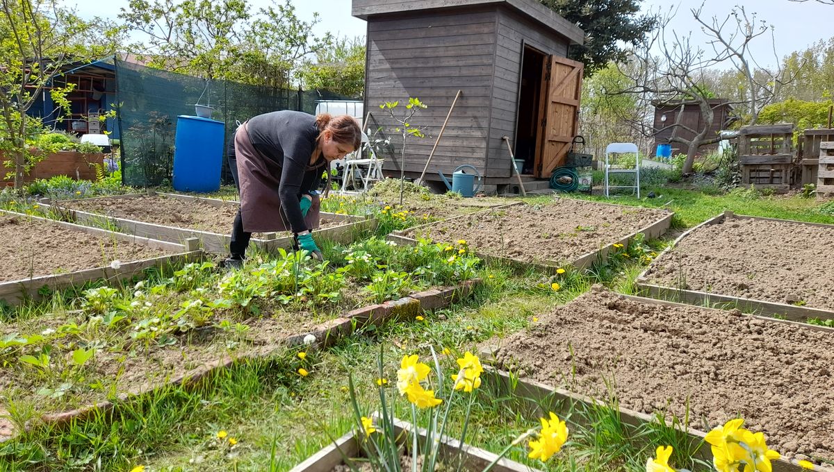 DES PARCELLES DE JARDINS FAMILIAUX À DISPOSITION