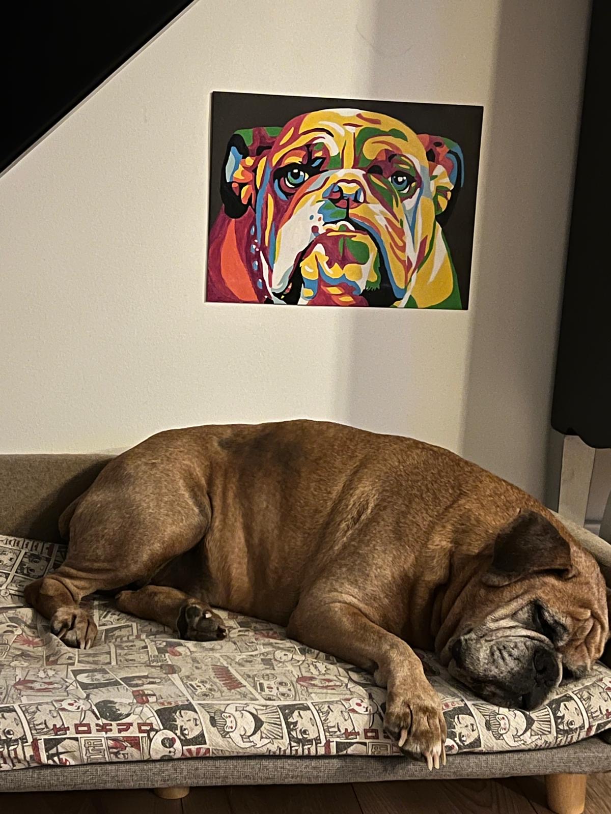 ALERTE EMPOISONNEMENT D’ANIMAUX